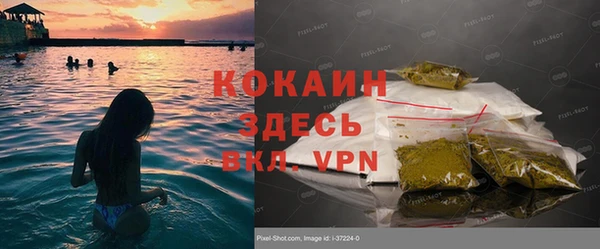 ПСИЛОЦИБИНОВЫЕ ГРИБЫ Кодинск