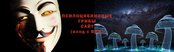 кокс Козельск