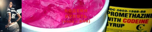ПСИЛОЦИБИНОВЫЕ ГРИБЫ Кодинск