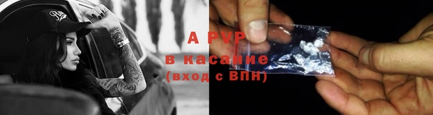 ПСИЛОЦИБИНОВЫЕ ГРИБЫ Кодинск