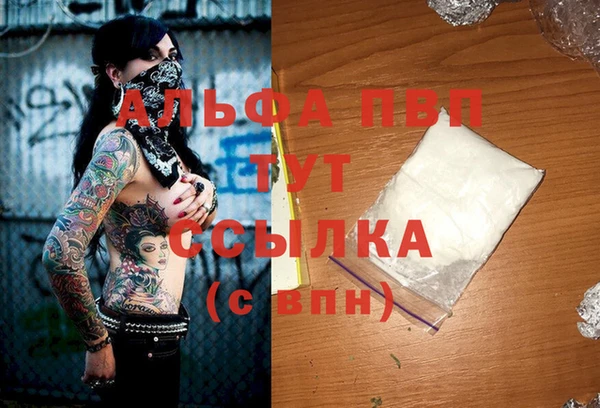 ПСИЛОЦИБИНОВЫЕ ГРИБЫ Кодинск